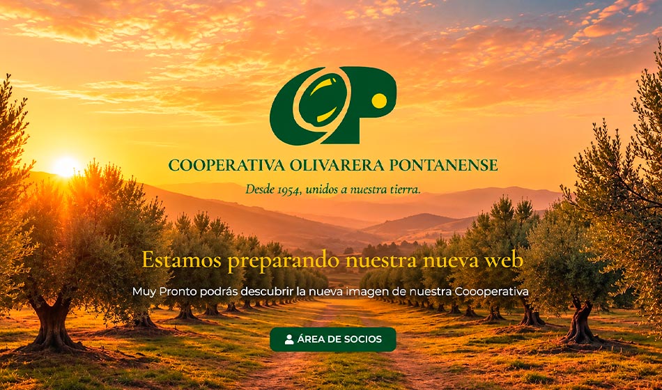 Olivarera-pontanense-InforPuente